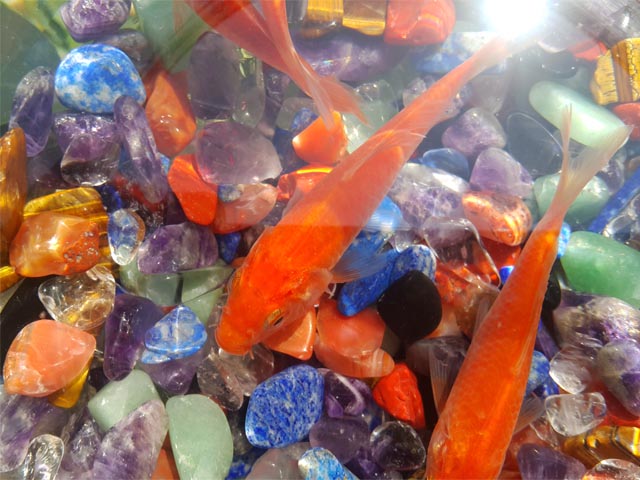 da-thach-anh-vun-rai-be-ca