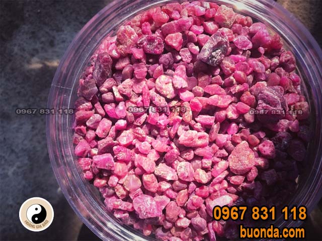 da-ruby-vun-la-dang-cap-nhat