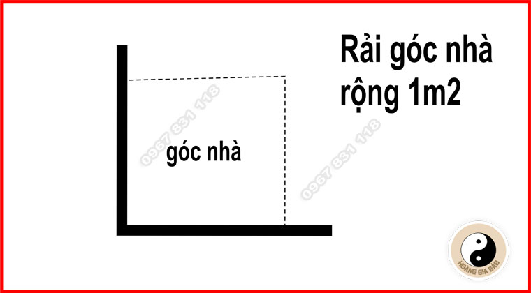 tinh-luong-da-rai-vao-goc-nha